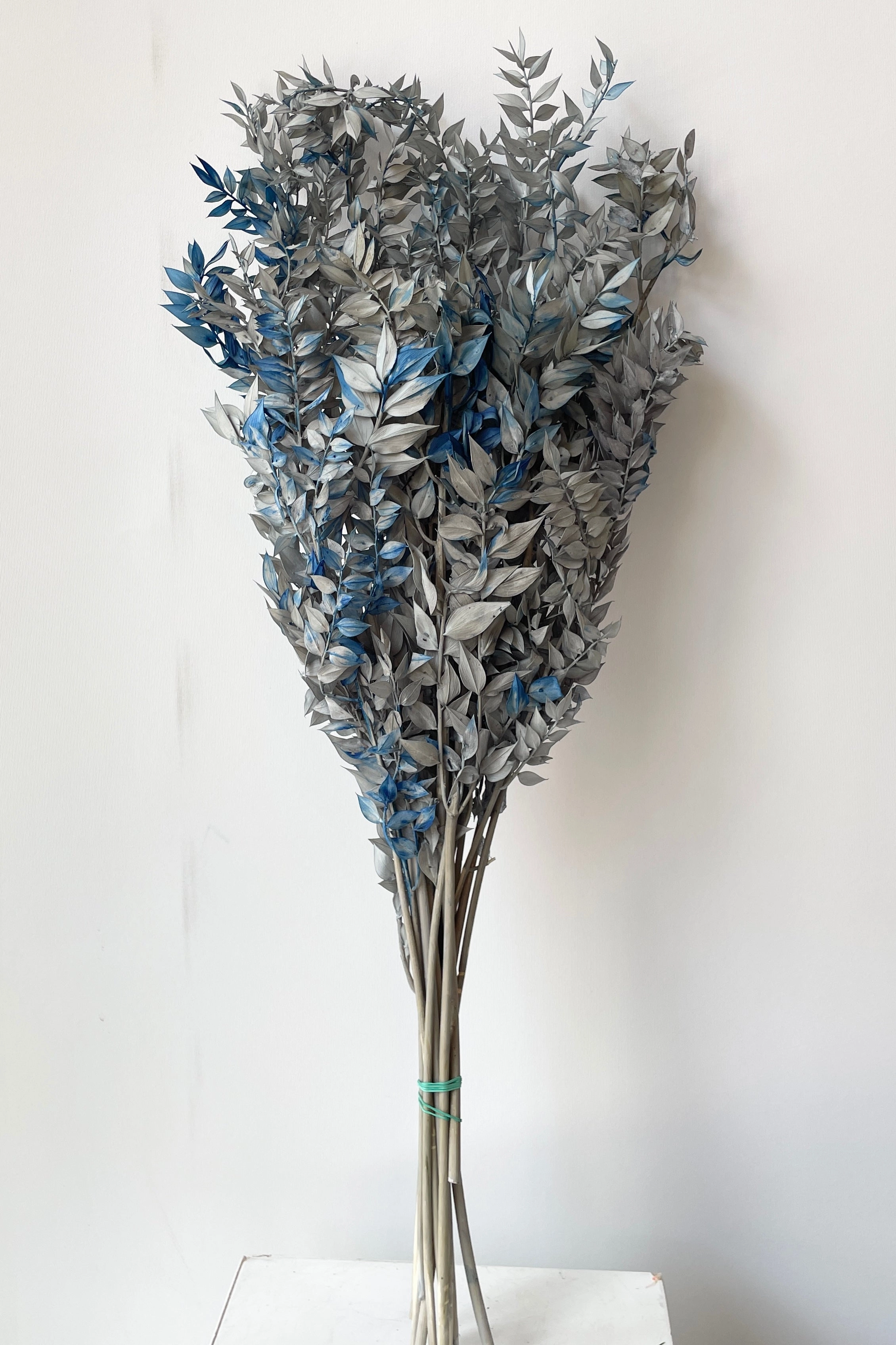 Ruscus Gray w/ Blue Tinted Preserved Bunch