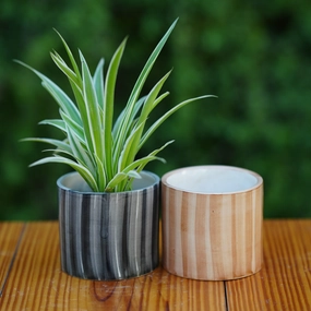 Rustic Striped Ceramic Planter/ Pot For Plants shade perennial  