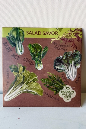 Salad Savor Seeds Art Pack decorative flowerpot  
