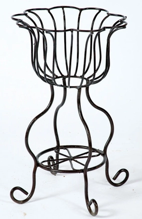 Sally Tulip Planter cactus succulent plant  