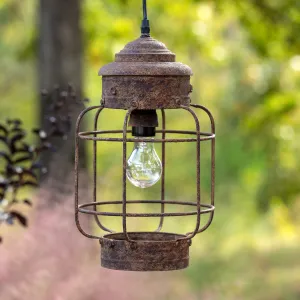 Salvaged Lantern Hanging Light Fixture dried flowers  
