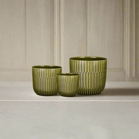 Sara Pot Round Green plant seeds  