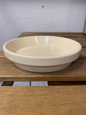 Saucer - Butter Yellow plant seeds  