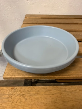 Saucer - Ice Blue plant seeds  