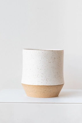 Sauve Vase Speckle Stoneware Small dried green plant  