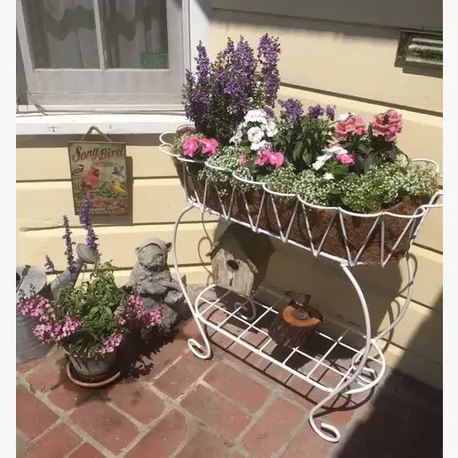 Scalloped Fernery Iron Plant Stand