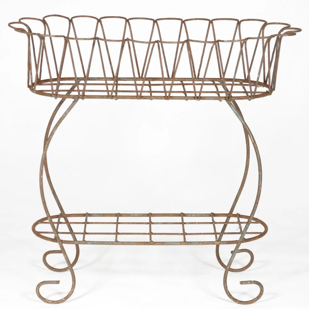Scalloped Fernery Iron Plant Stand dried flower branch  