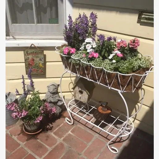 Scalloped Fernery Iron Plant Stand