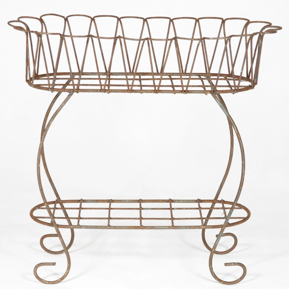 Scalloped Fernery Iron Plant Stand cactus succulent plant  