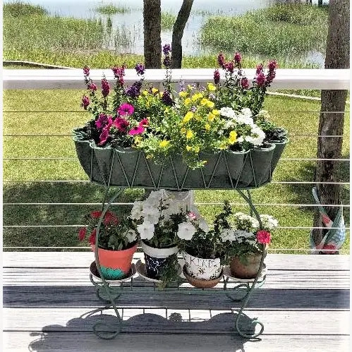 Scalloped Fernery Iron Plant Stand
