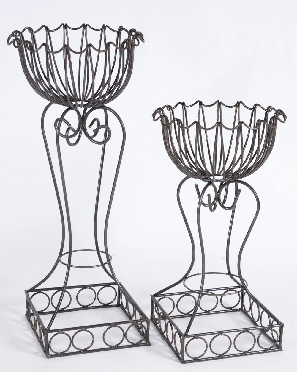 Scalloped Round Plant Stands Set of 2 cactus succulent plant  