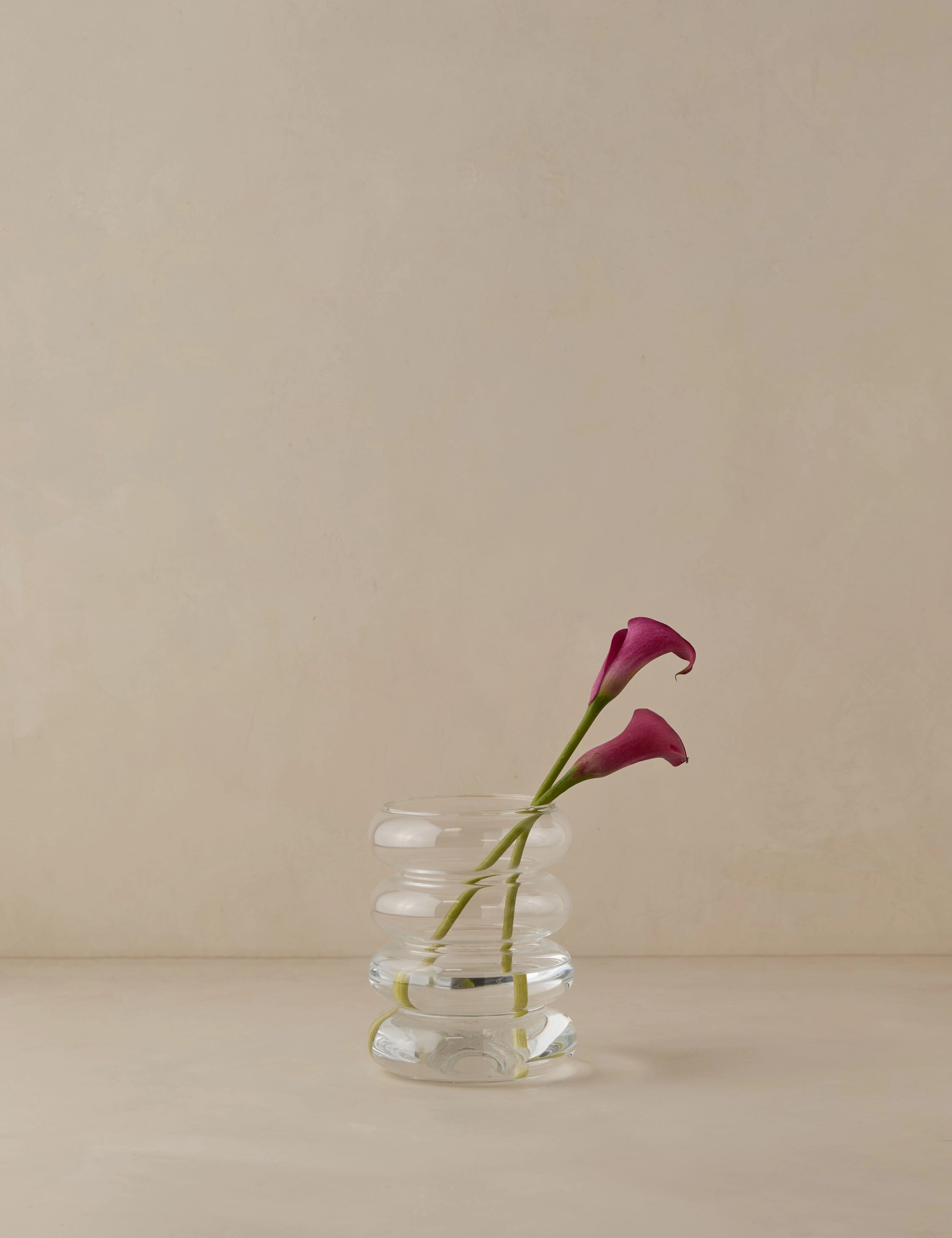 Scalloped Vase by etHOME mini ornamental plant  