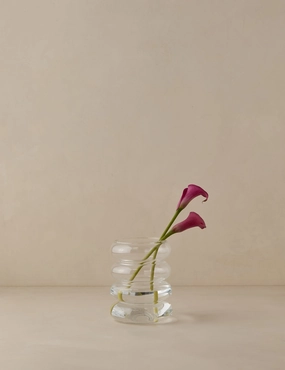Scalloped Vase by etHOME mini ornamental plant  