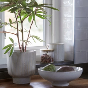Scarlett Pot Off White plant seeds  