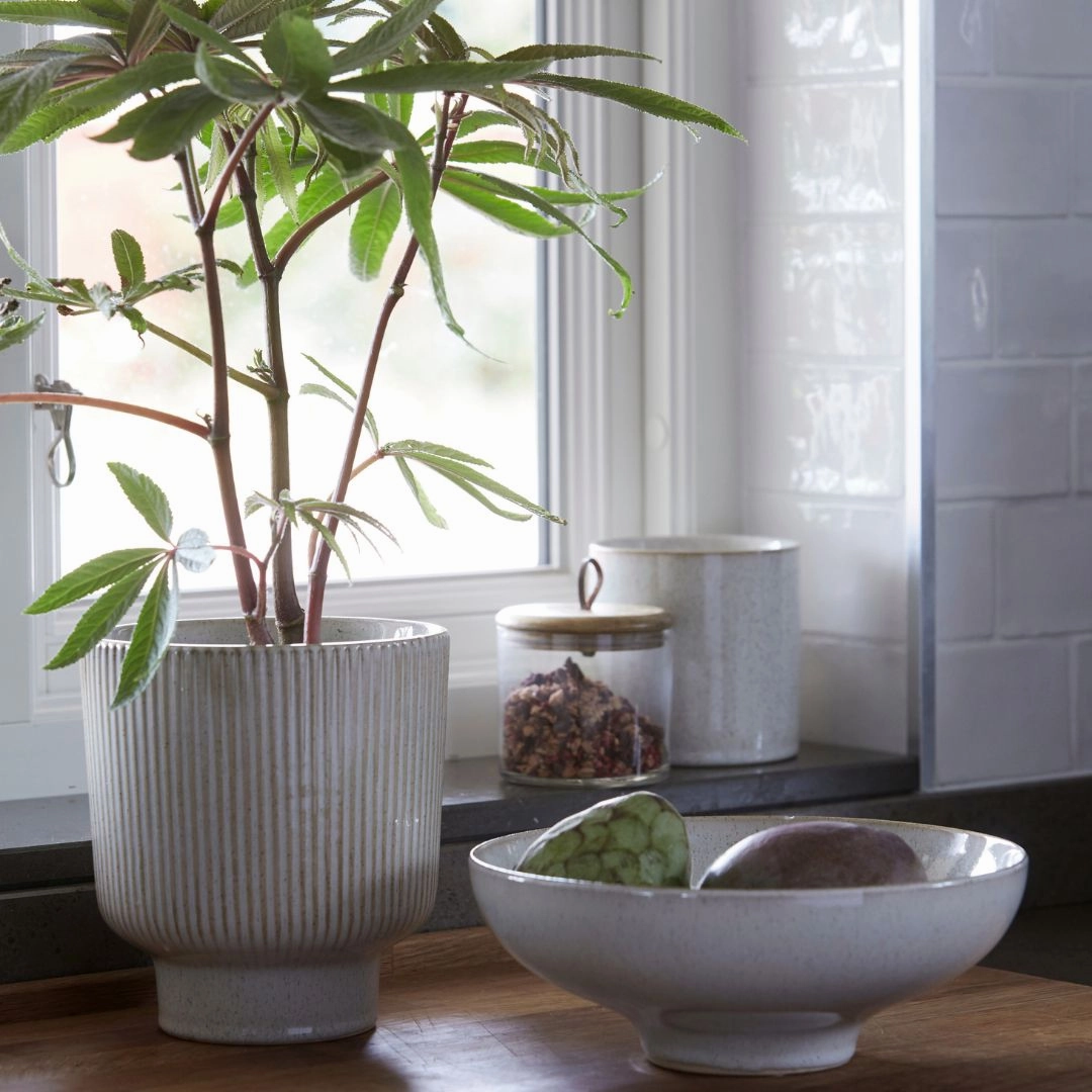 Scarlett Pot Off White plant seeds  