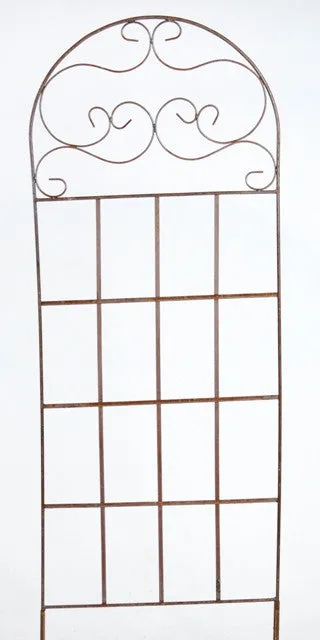 SCROLL TOP TRELLIS dried flower branch  
