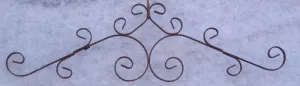 SCROLL WALL DECOR dried flower branch  