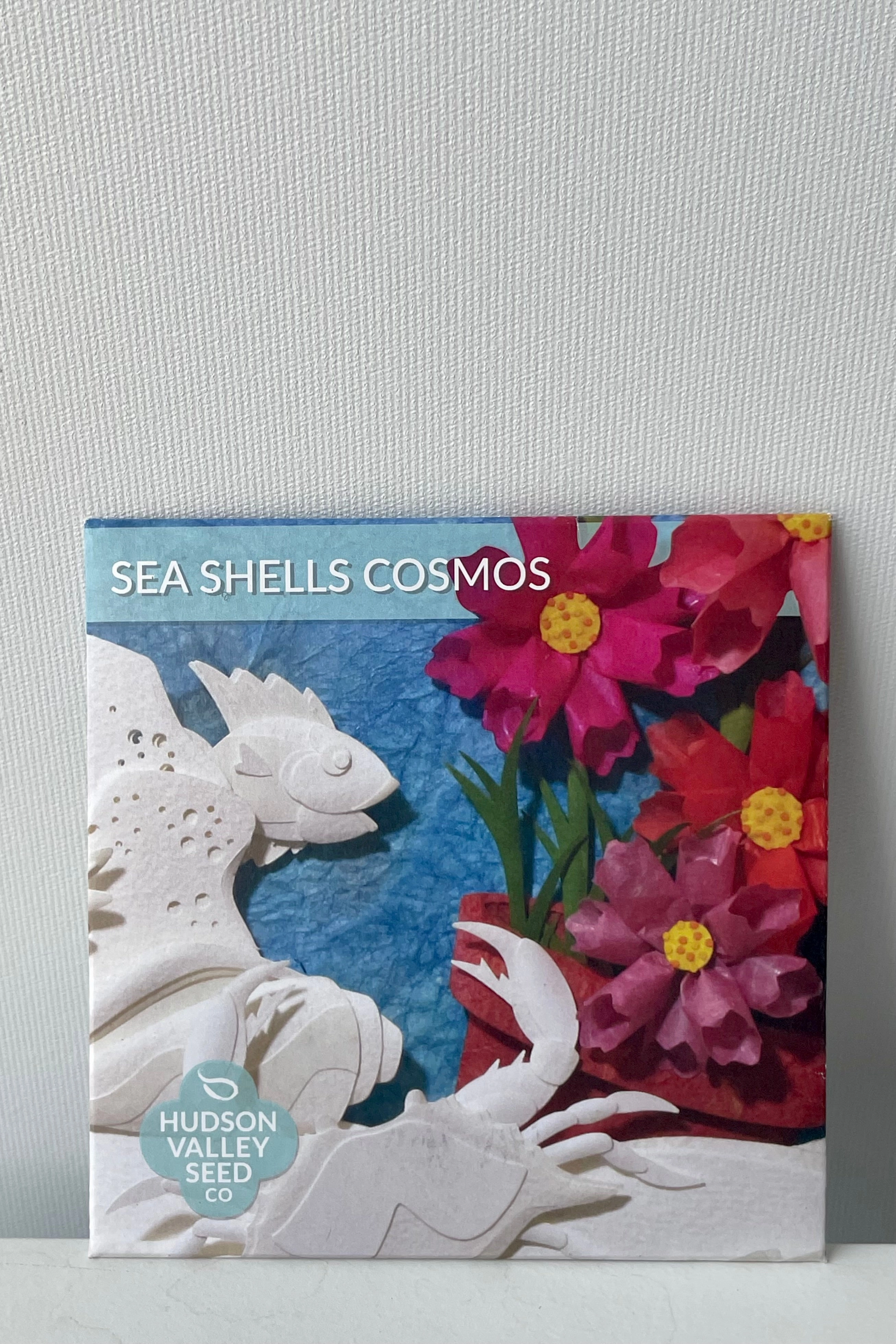 Sea Shells Cosmos Seeds Art Pack decorative flowerpot  