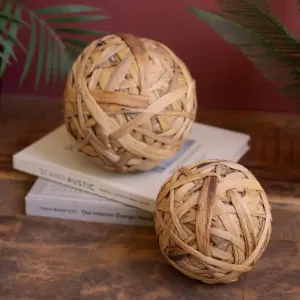 Seagrass Spheres Set dried flowers  