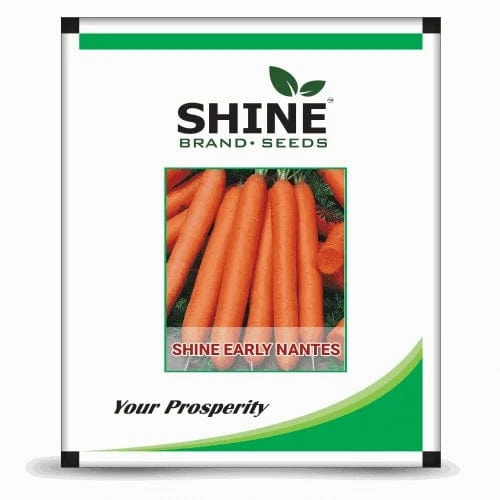 Seeds Early Nantes Carrot/ Gaajar Seeds small bud vase  