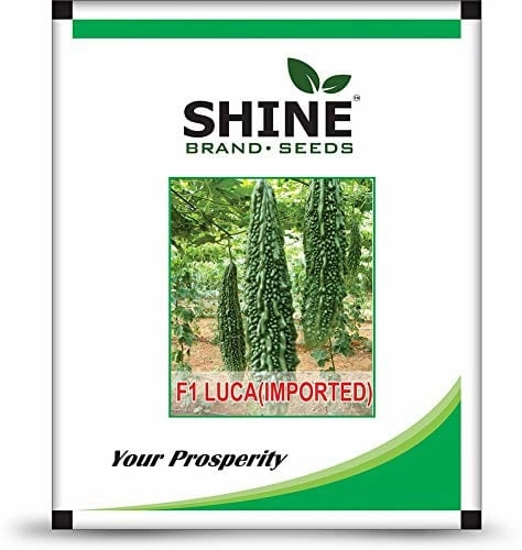 Seeds F1 Luca Bitter Gourd/ Karela Seeds small bud vase  