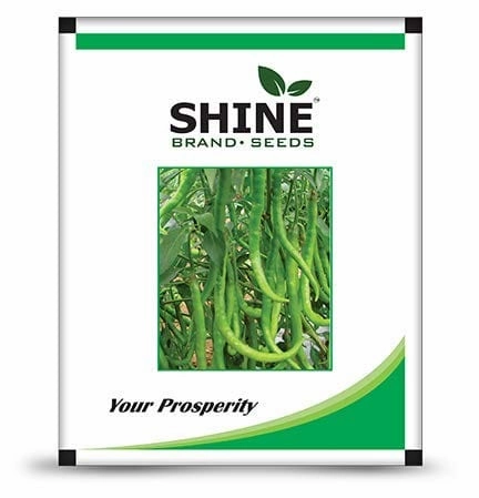 Seeds F1 Shine 610 Hybrid Chilli/ Mirchi Seeds (10 Grams) small bud vase  