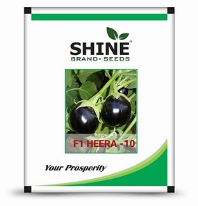 Seeds Heera 10 F1 Brinjal/ Began Seeds (50 Grams) small bud vase  