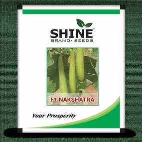 Seeds Nakshatra F1 Sponge Gourd/ Gilki Seeds small bud vase  