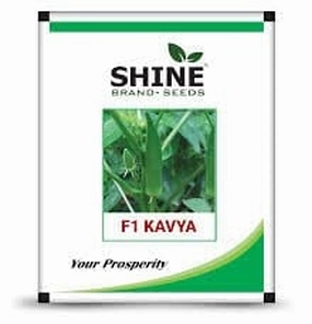 Seeds Okra- F1 Kavya/ Bhendi Seeds small bud vase  