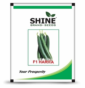 Seeds Sponge Gourd -Harita F1/ Gilki Turai Seeds small bud vase  