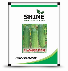 Seeds Strike F1 Green Cucumber Wonder/ Kheera Seeds (10 Grams) small bud vase  
