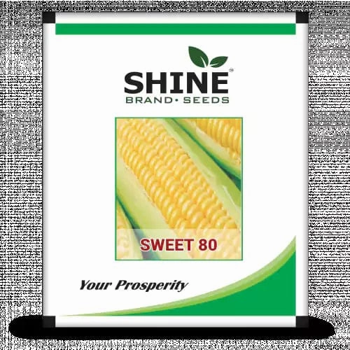 Seeds Sweet 80- Sweet Corn Seeds, 500gm small bud vase  