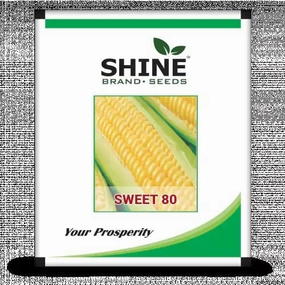 Seeds Sweet 80- Sweet Corn Seeds, 500gm small bud vase  