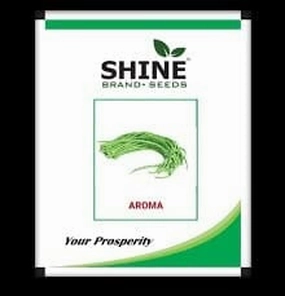 Seeds Yard Long Bean Aroma/ Barbatti Seeds small bud vase  