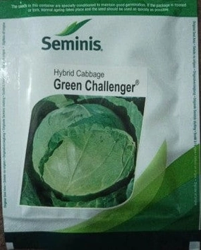 Seminis Seeds F1 Hybrid Green Cabbage Seeds small bud vase  