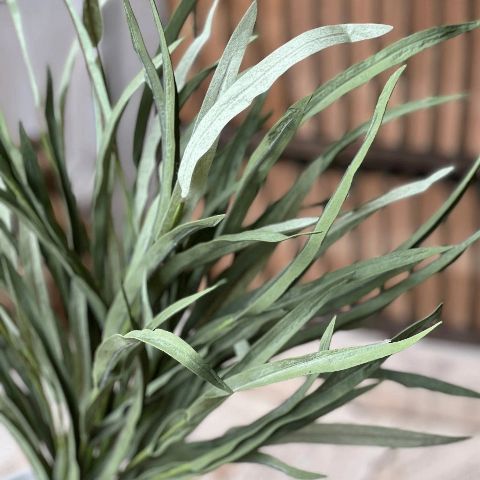 Serene Shoals Grass Bush