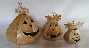Set of 3 Cone Shaped Pumpkins dried flower branch  