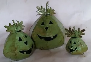 Set of 3 Cone Shaped Pumpkins dried flower branch  
