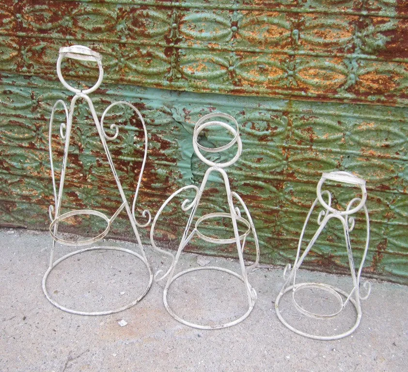 Set of 3 Fancy Angles dried flower branch  