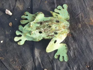 SET OF 3 FROG dried flower branch  
