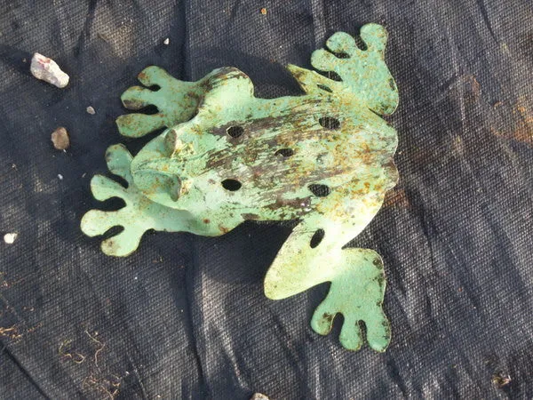 SET OF 3 FROG dried flower branch  