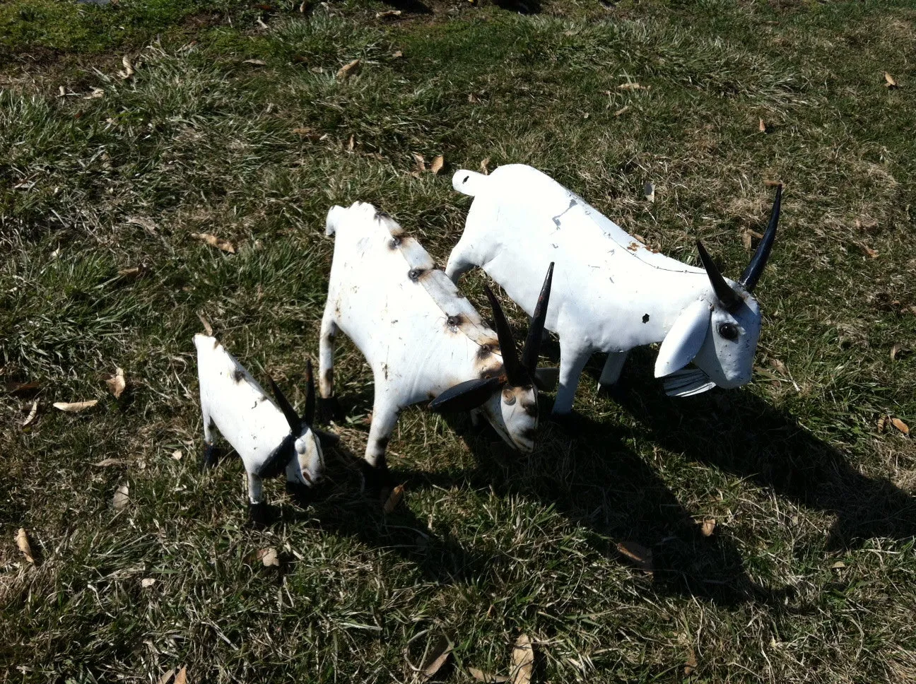 Set of 3 Goats dried flower branch  