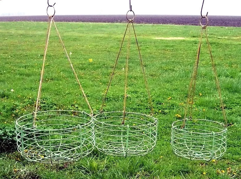 Set of 3 Victorian Round Baskets dried flower branch  