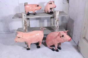 Set of 4 Salmon Pigs dried flower branch  