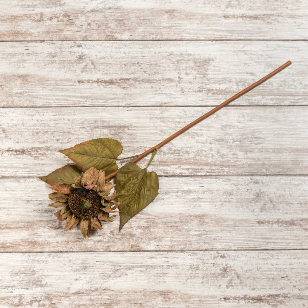 Set/2 Sun-Baked Sunflower Stems
