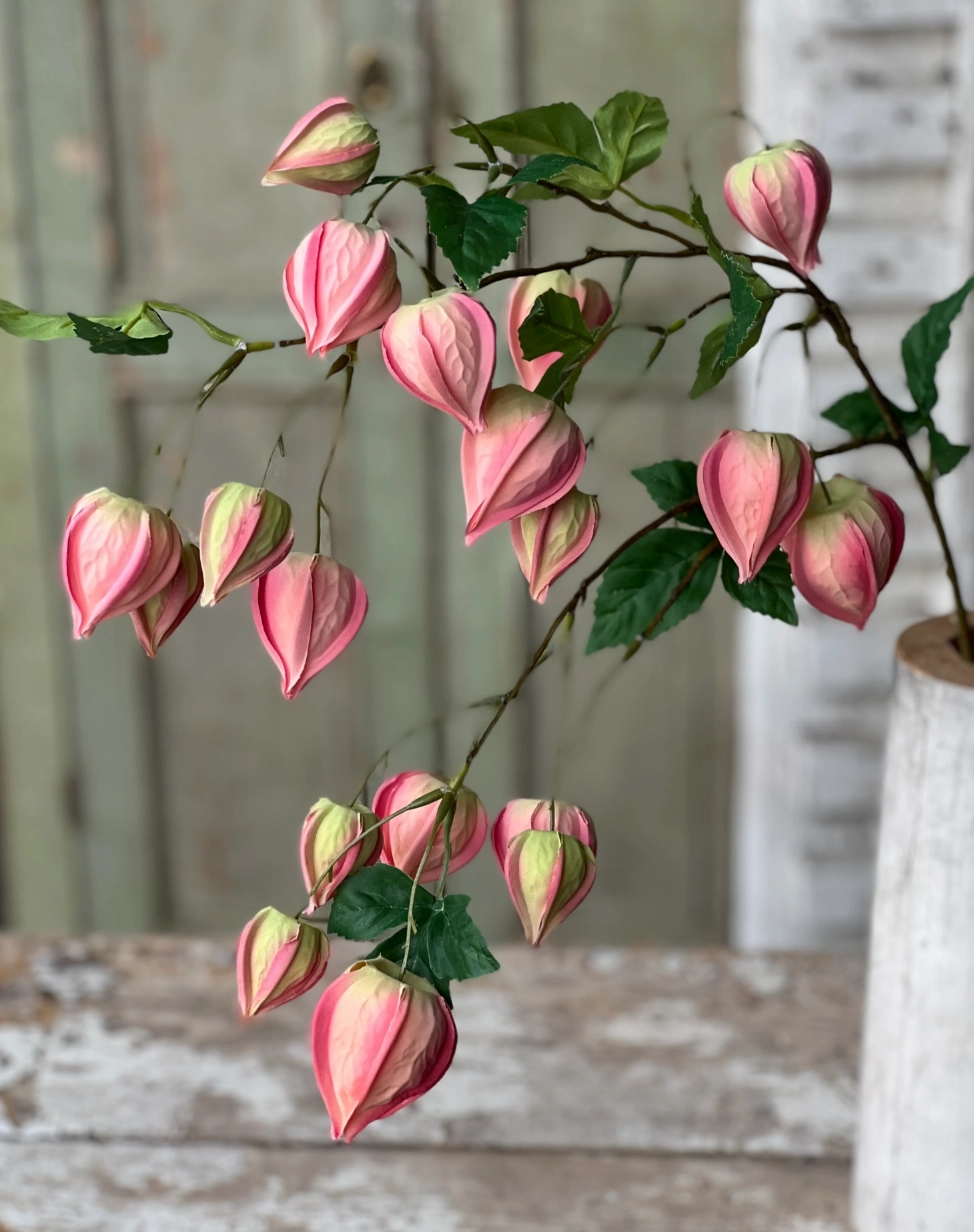 Set/3 Pink Lamplighter Buds