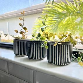 Set/3 Pinstriped Cement Planters outdoor greenery  