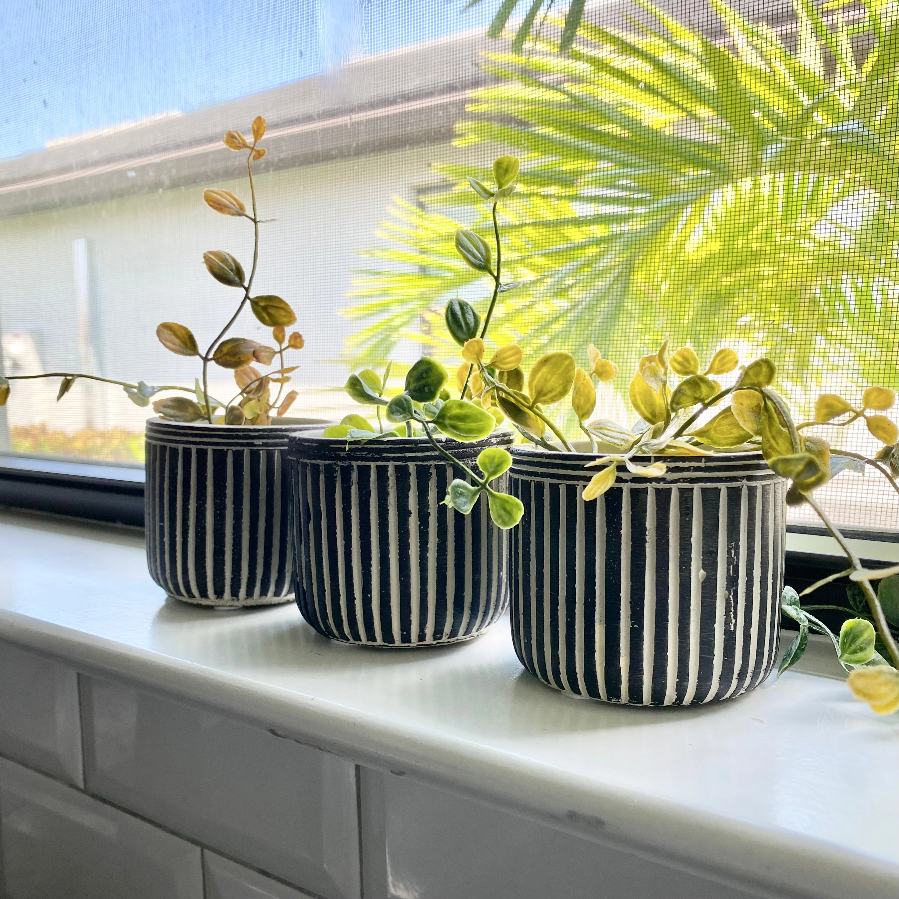 Set/3 Pinstriped Cement Planters outdoor greenery  