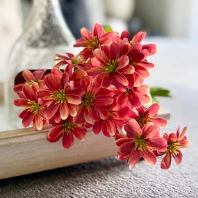 Set/3 Real Touch Orange Chrysanthemum Sprays xl flower pot  