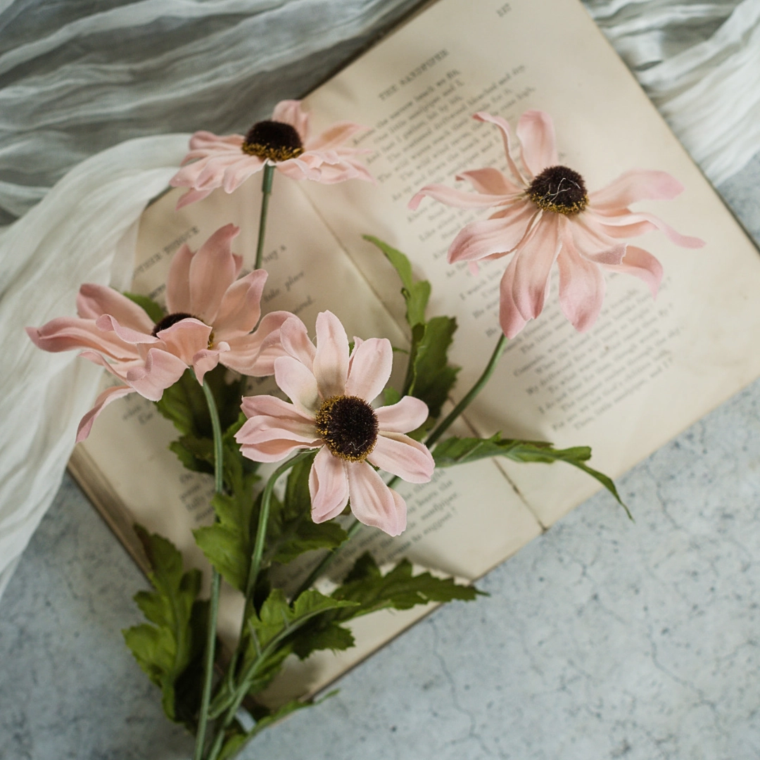 Set/3 Shaded Pink Black-Eyed Susans